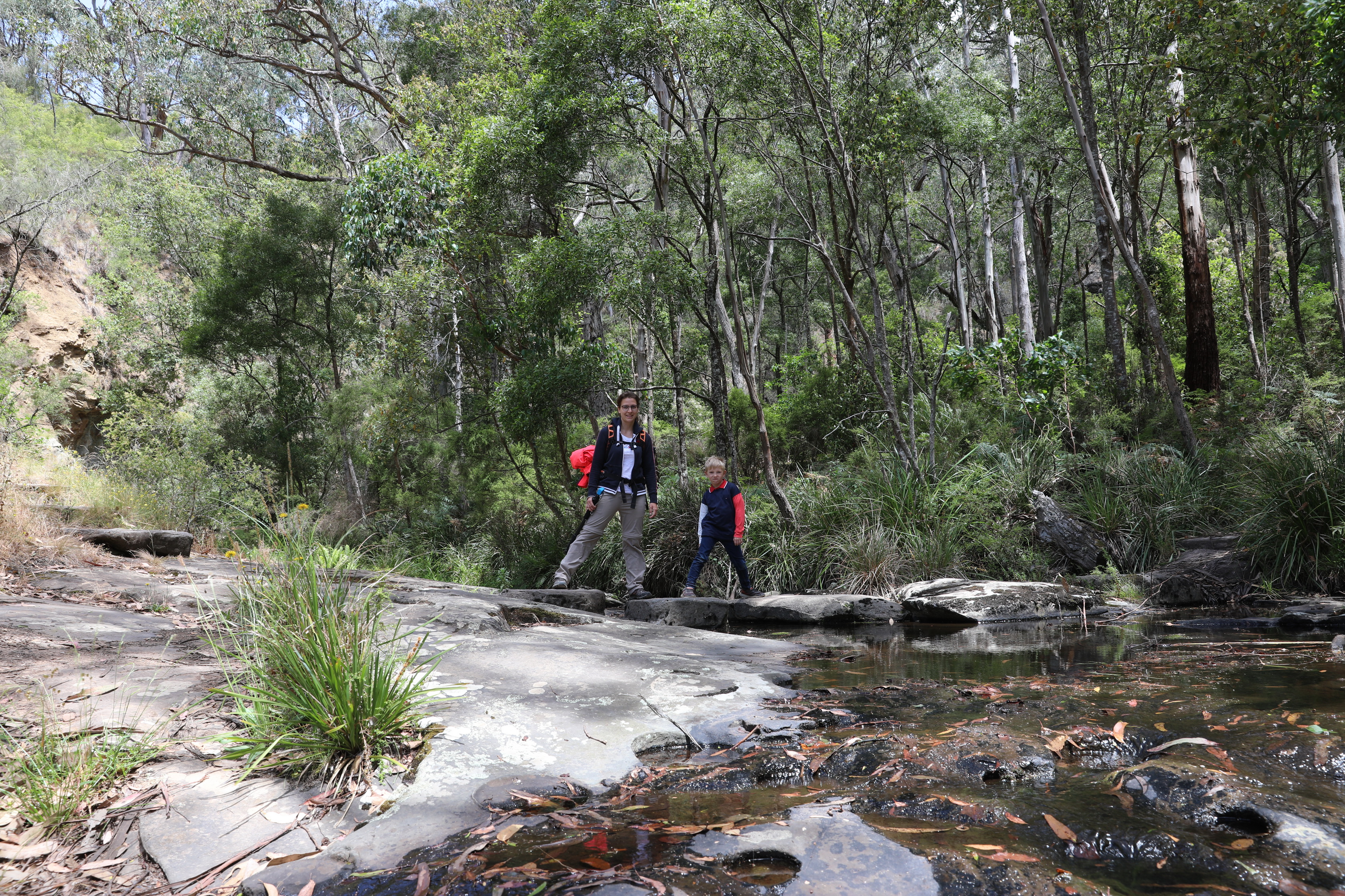 Sheoak Falls